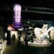 Illustration for article titled At this Science Exhibit, You Study Pokémon